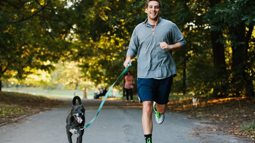 The Pros And Cons Of A Hands Free Dog Leash