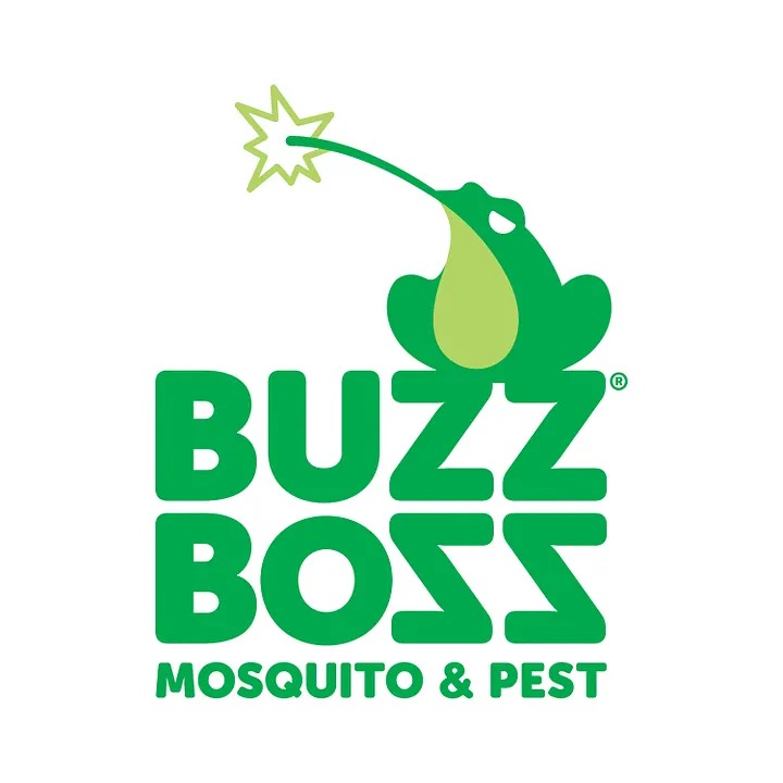 Buzz Boss
